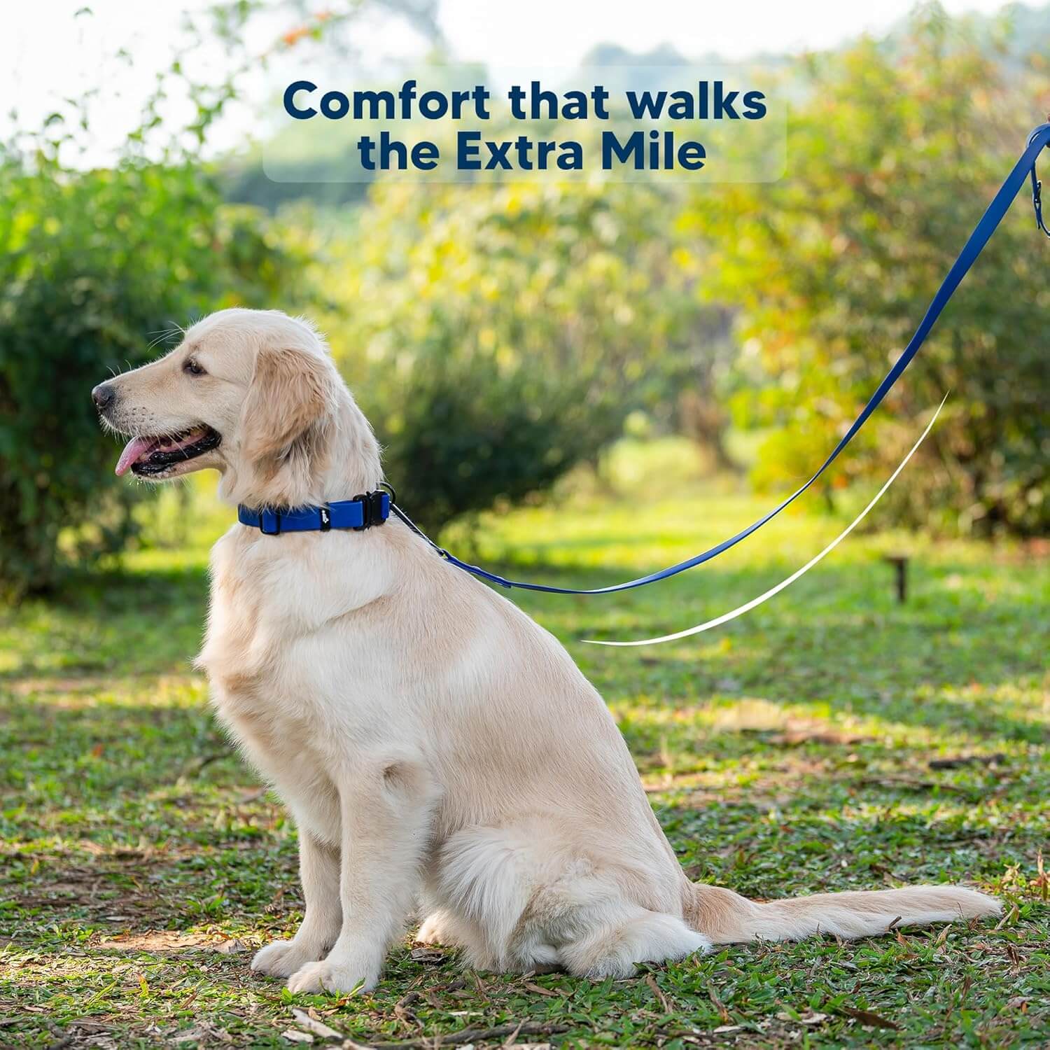 Adil’s Biothane Dog Leash - Waterproof Leashes for Dogs, Metal Hook, Adjustable 5ft Length Suitable for Dogs & Puppies, Ideal for Walking, Running & Training